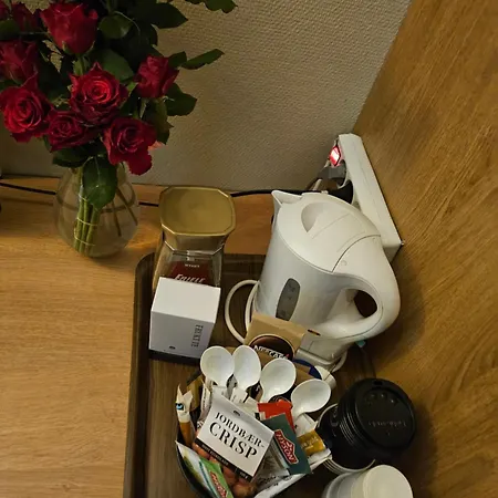 Motell Lier Lier (Buskerud)